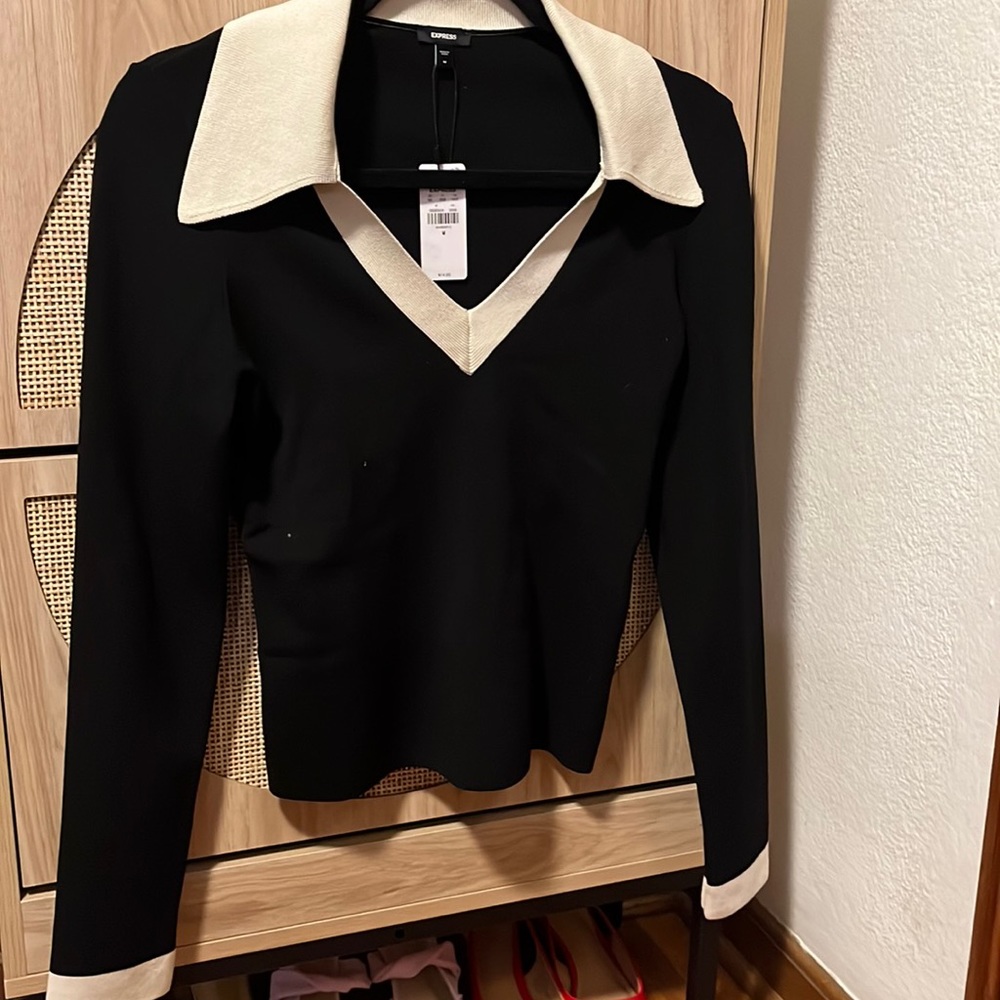 Express Black and Cream V-Neck Sweater